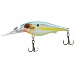 Fishing Crankbait Lures Scheels Outfitters FatEye Shad